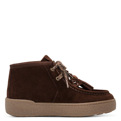 Molières Winston Camel